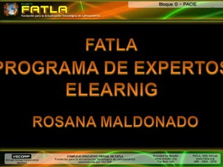 FATLA PROGRAMA DE EXPERTOS ELEARNIG ROSANA MALDONADO 