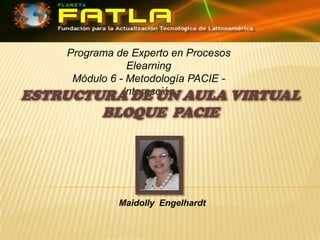 Programa de Experto en Procesos ElearningMódulo 6 - Metodología PACIE - Interacción ESTRUCTURA DE UN AULA VIRTUAL BLOQUE  PACIE MaidollyEngelhardt 