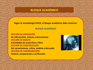 BLOQUE ACADÉMICO
Según la metodología PACIE, el bloque académico debe contener:
BLOQUE ACADÉMICO
SECCIÓN DE EXPOSICIÓN
De información, enlaces y documentos
SECCIÓN DE REBOTE
Actividades de autocrítica y filtro
SECCIÓN DE CONSTRUCCIÓN
Del conocimiento, crítica, análisis y discusión
SECCIÓN DE COMPROBACIÓN
Síntesis, comparación y verificación
 