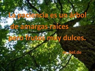 La paciencia es un árbol
de amargas raíces
pero frutos muy dulces.
re,.bel.de
 
