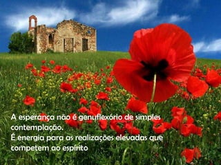 A esperança não é genuflexório de simples contemplação. É energia para as realizações elevadas que competem ao espírito . 