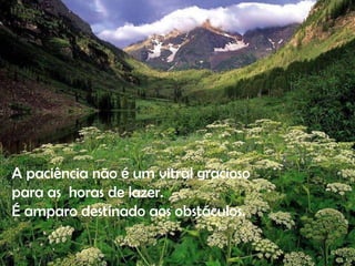 A paciência não é um vitral gracioso para as  horas de lazer. É amparo destinado aos obstáculos. 