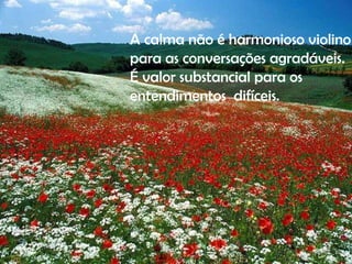 A calma não é harmonioso violino  para as conversações agradáveis. É valor substancial para os  entendimentos  difíceis. 