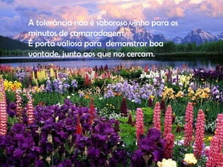 A tolerância não é saboroso vinho para os  minutos de camaradagem. É porta valiosa para  demonstrar boa vontade, junto aos que nos cercam. 