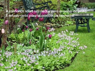 A confiança não é um néctar para as noites de prata. É refugio certo para as ocasiões de tormenta. 