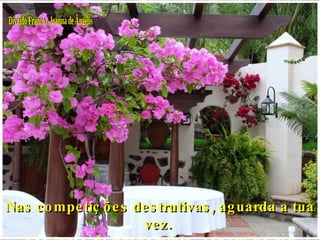 Divaldo Franco / Joanna de Ângelis Nas competições destrutivas, aguarda a tua vez.  Nas lutas de predomínio, espera no teu lugar. 