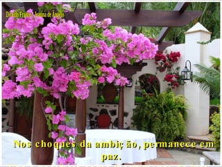 Divaldo Franco / Joanna de Ângelis      Nos choques da ambição, permanece em paz. Usa a paciência como instrumento de luta,  