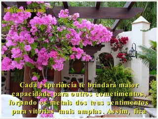 Divaldo Franco / Joanna de Ângelis Cada experiência te brindará maior capacidade para outros cometimentos, forjando os metais dos teus sentimentos para vitórias  mais amplas. Assim,  fica alerta e paciente. 