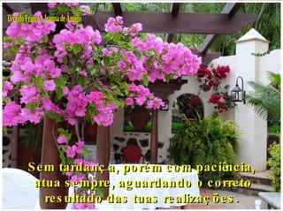 Divaldo Franco / Joanna de Ângelis Sem tardança, porém com paciência, atua sempre, aguardando o correto resultado das tuas realizações. 