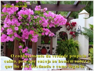 Divaldo Franco / Joanna de Ângelis      O conhecimento da verdade propicia calma, pois que enseja ao homem saber o que lhe está destinado e como lográ-lo.    