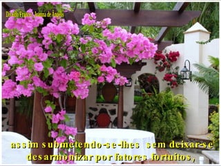 Divaldo Franco / Joanna de Ângelis   assim submetendo-se-lhes  sem deixar-se desarmonizar por fatores fortuitos, negativos.  