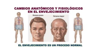 CAMBIOS ANATÓMICOS Y FISIOLÓGICOS
EN EL ENVEJECIMIENTO
EL ENVEJECIMIENTO ES UN PROCESO NORMAL
 