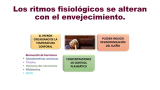 Los ritmos fisiológicos se alteran
con el envejecimiento.
EL PATRÓN
CIRCADIANO DE LA
TEMPERATURA
CORPORAL
CONCENTRACIONES
DE CORTISOL
PLASMÁTICO
PUEDEN INDUCIR
DESINCRONIZACIÓN
DEL SUEÑO
Atenuación de hormonas
• Gonadotrofinas corionicas.
• Tirosina
• Hormona del crecimiento.
• Melatonina.
• ACTH
 