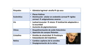 Párpados • Glándula lagrimal- atrofia ojo seco
Esclerótica
• Placas hialinas
• Disminución celular en endotelio corneal rigidez
corneal  astigmatismos severos
Iris • Lasitud muscular  miosis  lentitud de adaptación a
la oscuridad
• Aumento de pigmentaciones
Vítreo • Despolimerización de acido hialurónico
• Aparición de cuerpos flotantes
Cristalino • Pérdida de elasticidad  Presbiopia
• Fotooxidación del triptófano
Retina • Cambios capilares de la coroides
• Despigmentación de la retina
 