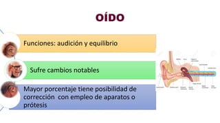 OÍDO
Funciones: audición y equilibrio
Sufre cambios notables
Mayor porcentaje tiene posibilidad de
corrección con empleo de aparatos o
prótesis
 