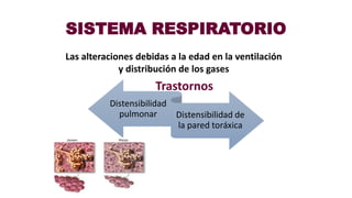 SISTEMA RESPIRATORIO
Las alteraciones debidas a la edad en la ventilación
y distribución de los gases
Distensibilidad
pulmonar Distensibilidad de
la pared toráxica
Trastornos
 
