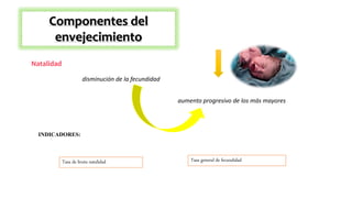 Componentes del
envejecimiento
Natalidad
disminución de la fecundidad
aumento progresivo de los más mayores
INDICADORES:
Tasa de bruta natalidad Tasa general de fecundidad
 