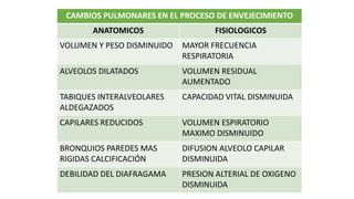 CAMBIOS PULMONARES EN EL PROCESO DE ENVEJECIMIENTO
ANATOMICOS FISIOLOGICOS
VOLUMEN Y PESO DISMINUIDO MAYOR FRECUENCIA
RESPIRATORIA
ALVEOLOS DILATADOS VOLUMEN RESIDUAL
AUMENTADO
TABIQUES INTERALVEOLARES
ALDEGAZADOS
CAPACIDAD VITAL DISMINUIDA
CAPILARES REDUCIDOS VOLUMEN ESPIRATORIO
MAXIMO DISMINUIDO
BRONQUIOS PAREDES MAS
RIGIDAS CALCIFICACIÓN
DIFUSION ALVEOLO CAPILAR
DISMINUIDA
DEBILIDAD DEL DIAFRAGAMA PRESION ALTERIAL DE OXIGENO
DISMINUIDA
 