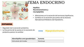 SISTEMA ENDOCRINO
Hipófisis:
Neurotransmisores y
neuropéptidos
• Alteraciones en la secreción de hormonas hipofisarias.
• Cambios en la secreción por pulsos de los factores
liberadores/inhibidores del hipotálamo.
DOPAMINA
• Regulador de la secreción prolactina.
• La frecuencia de los pulsos en la secreción de
prolactina parece no cambiar
Hipoprolactinemia
Adenohipófisis como gonadotrópica Aumenta
Estimulante del tiroides Disminuye
 