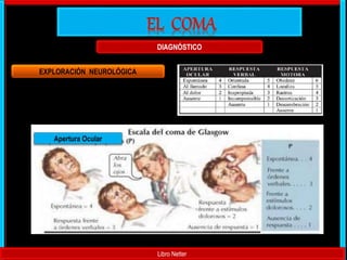 Libro Netter
DIAGNÓSTICO
EXPLORACIÓN NEUROLÓGICA
Apertura Ocular
 