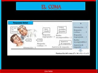 Libro Netter
Respuesta Verbal
 