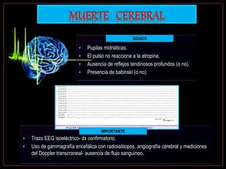 SIGNOS:
• Pupilas midriáticas.
• El pulso no reacciona a la atropina.
• Ausencia de reflejos tendinosos profundos (o no).
• Presencia de babinski (o no).
IMPORTANTE:
• Trazo EEG isoeléctrico- dx confirmatorio.
• Uso de gammagrafía encefálica con radioisótopos, angiografía cerebral y mediciones
del Doppler transcraneal- ausencia de flujo sanguíneo.
SIGNOS
IMPORTANTE
 