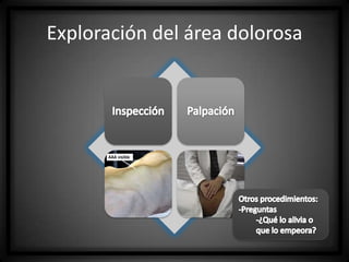 Exploración del área dolorosa

 