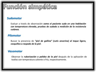 Sudomotor
Evaluar a través de observación como el paciente suda en una habitación
con temperatura elevada, pruebas de sudado o medición de la resistencia
cutánea.

Pilomotor
Buscar la presencia de “piel de gallina” (cutis anserina) al toque ligero,
cosquilleo o raspado de la piel.

Vasomotor
Observar la ruborización o palidez de la piel después de la aplicación de
toallas con temperatura caliente o fría, respectivamente.

 