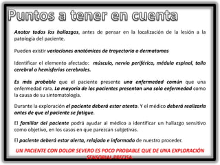 Anotar todos los hallazgos, antes de pensar en la localización de la lesión a la
patología del paciente.
Pueden existir variaciones anatómicas de trayectoria o dermatomas
Identificar el elemento afectado: músculo, nervio periférico, médula espinal, tallo
cerebral o hemisferios cerebrales.
Es más probable que el paciente presente una enfermedad común que una
enfermedad rara. La mayoría de los pacientes presentan una sola enfermedad como
la causa de su sintomatología.
Durante la exploración el paciente deberá estar atento. Y el médico deberá realizarla
antes de que el paciente se fatigue.
El familiar del paciente podrá ayudar al médico a identificar un hallazgo sensitivo
como objetivo, en los casos en que parezcan subjetivas.
El paciente deberá estar alerta, relajado e informado de nuestro proceder.
UN PACIENTE CON DOLOR SEVERO ES POCO PROBABLE QUE DE UNA EXPLORACIÓN
SENSORIAL PRECISA.

 