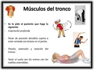 • Se le pide al paciente que haga lo
siguiente:
- Inspiración profunda
-

Pasar de posición decúbito supino a
estar sentado con brazos en el pecho.

-

Flexión, extensión y rotación del
tronco.

-

Tocar el suelo con las manos con las
rodillas extendidas.

 