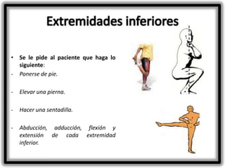 • Se le pide al paciente que haga lo
siguiente:
- Ponerse de pie.
-

Elevar una pierna.

-

Hacer una sentadilla.

-

Abducción, adducción, flexión y
extensión de cada extremidad
inferior.

 