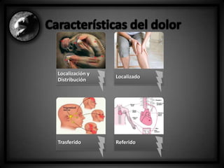 Localización y
Distribución

Localizado

Trasferido

Referido

 
