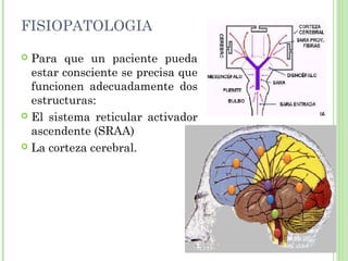 FISIOPATOLOGIA
 Para que un paciente pueda
estar consciente se precisa que
funcionen adecuadamente dos
estructuras:
 El sistema reticular activador
ascendente (SRAA)
 La corteza cerebral.
 