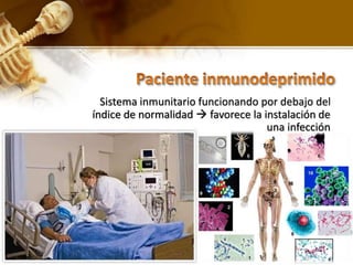 Sistema inmunitario funcionando por debajo del 
índice de normalidad  favorece la instalación de 
una infección 
 