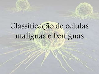 Classificação de células
malignas e benignas
 