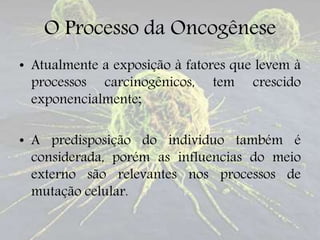 O Processo da Oncogênese
• Atualmente a exposição à fatores que levem à
processos carcinogênicos, tem crescido
exponencialmente;
• A predisposição do individuo também é
considerada, porém as influencias do meio
externo são relevantes nos processos de
mutação celular.
 