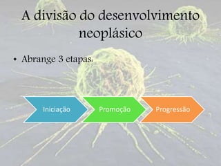 A divisão do desenvolvimento
neoplásico
• Abrange 3 etapas:
Iniciação Promoção Progressão
 