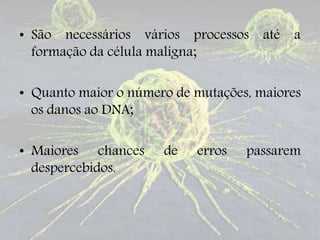 • São necessários vários processos até a
formação da célula maligna;
• Quanto maior o número de mutações, maiores
os danos ao DNA;
• Maiores chances de erros passarem
despercebidos.
 