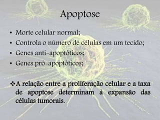 Apoptose
• Morte celular normal;
• Controla o número de células em um tecido;
• Genes anti-apoptóticos;
• Genes pró-apoptóticos;
A relação entre a proliferação celular e a taxa
de apoptose determinam à expansão das
células tumorais.
 