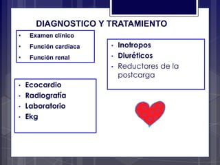 • Ecocardio
• Radiografía
• Laboratorio
• Ekg
• Inotropos
• Diuréticos
• Reductores de la
postcarga
• Examen clínico
• Función cardiaca
• Función renal
DIAGNOSTICO Y TRATAMIENTO
 
