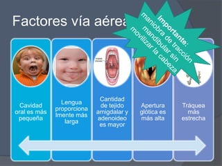 Factores vía aérea




                             Cantidad
                Lengua
  Cavidad                    de tejido    Apertura     Tráquea
              proporciona
oral es más                 amigdalar y   glótica es     más
              lmente más
 pequeña                    adenoideo     más alta     estrecha
                 larga
                             es mayor
 