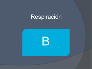 Respiración



   B
 