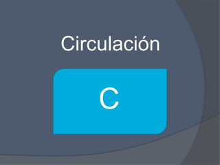 Circulación

    C
 