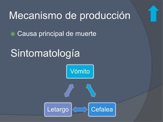 Mecanismo de producción
   Causa principal de muerte


Sintomatología
                       Vómito




             Letargo            Cefalea
 