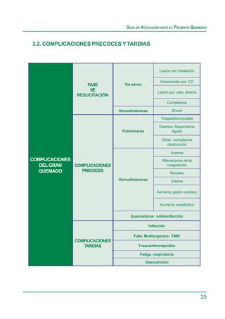 GUÍA DE ACTUACIÓN ANTE EL PACIENTE QUEMADO


3.2. COMPLICACIONES PRECOCES Y TARDIAS



                                                      Lesión por inhalación

                                                      Intoxicación por CO
                    FASE          Vía aérea
                     DE
                                                    Lesión por calor directo
                RESUCITACIÓN
                                                            Compliance

                                Hemodinámicas                 Shock

                                                      Traqueobronquiales

                                                     Distress Respiratorio
                                 Pulmonares                 Agudo

                                                       Otras: compliance
                                                          obstrucción

                                                             Anemia
COMPLICACIONES                                         Alteraciones de la
   DEL GRAN    COMPLICACIONES                             coagulación
  QUEMADO        PRECOCES
                                                             Renales
                                Hemodinámicas                 Edema

                                                    Aumento gasto cardiaco


                                                      Aumento metabólico


                                     Quemaduras: sobreinfección

                                                Infección

                                      Fallo Multiorgánico: FMO
               COMPLICACIONES
                  TARDÍAS                Traqueobronquiales

                                          Fatiga respiratoria

                                              Desnutrición




                                                                               25
 