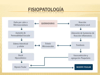 FISIOPATOLOGÍA
 