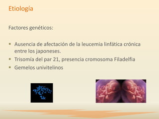 Etiología

Factores genéticos:

 Ausencia de afectación de la leucemia linfática crónica
  entre los japoneses.
 Trisomía del par 21, presencia cromosoma Filadelfia
 Gemelos univitelinos
 