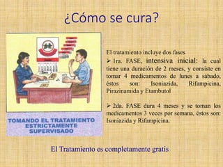 ¿Cómo se cura?
El tratamiento incluye dos fases
 1ra. FASE, intensiva inicial: la cual
tiene una duración de 2 meses, y consiste en
tomar 4 medicamentos de lunes a sábado,
éstos son: Isoniazida, Rifampicina,
Pirazinamida y Etambutol
 2da. FASE dura 4 meses y se toman los
medicamentos 3 veces por semana, éstos son:
Isoniazida y Rifampicina.
El Tratamiento es completamente gratis
 