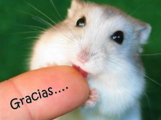 Pacientes de riesgo en Odontologia