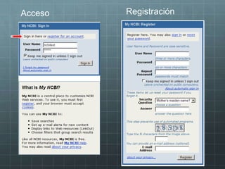 Acceso Registración
 
